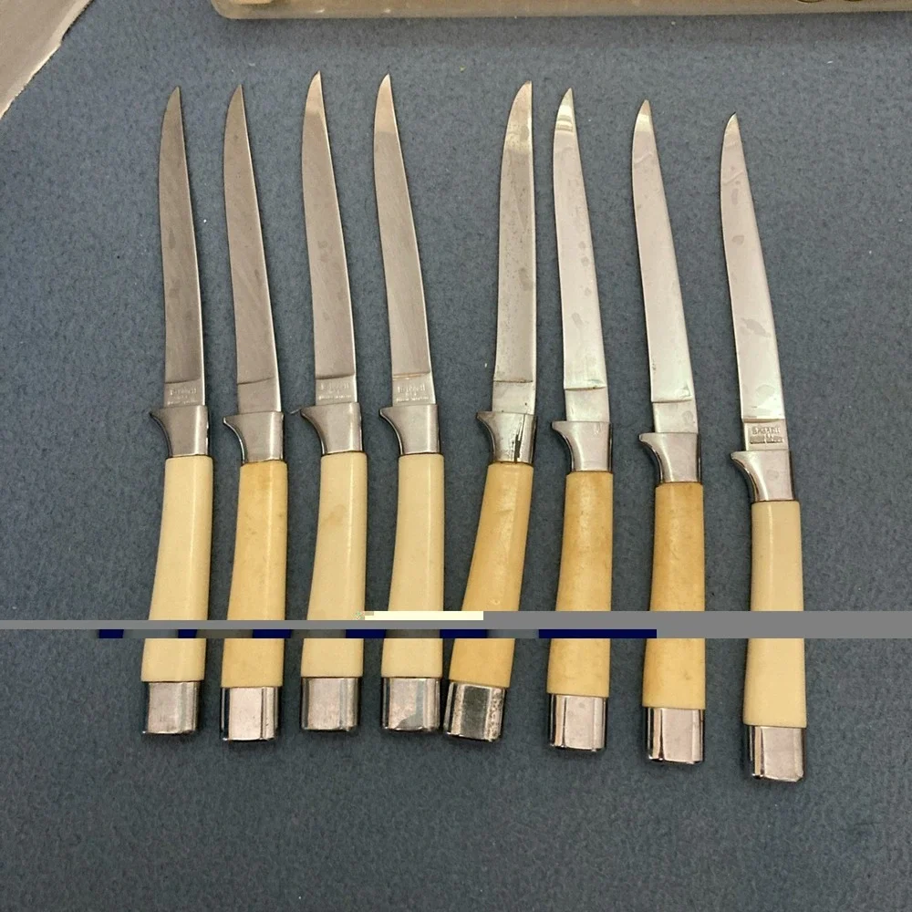Vintage Chas. D. Briddell Carvel Hall Steak Knives in Original Case - Set of 8